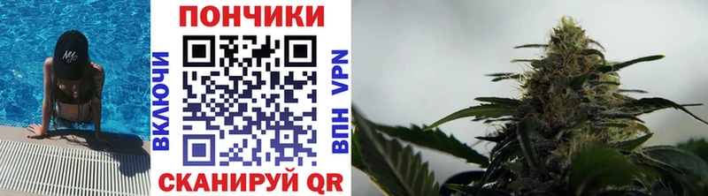 Купить наркотики сайты Лакинск Псилоцибиновые грибы  Меф мяу мяу  МЕГА ССЫЛКА  ГАШИШ  Бошки Шишки  АМФЕТАМИН 