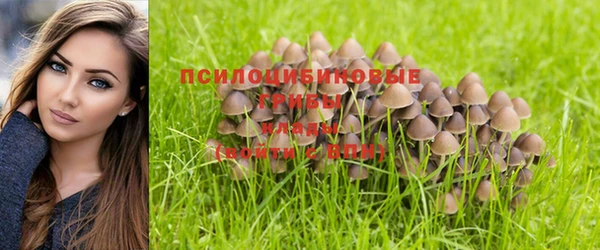 героин Армянск